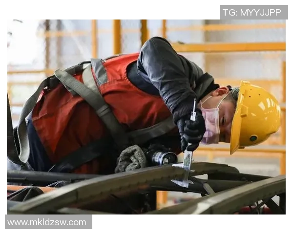 数据分析：重庆滑板队的力量表现